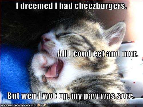 [cheezburger+dream.jpg]