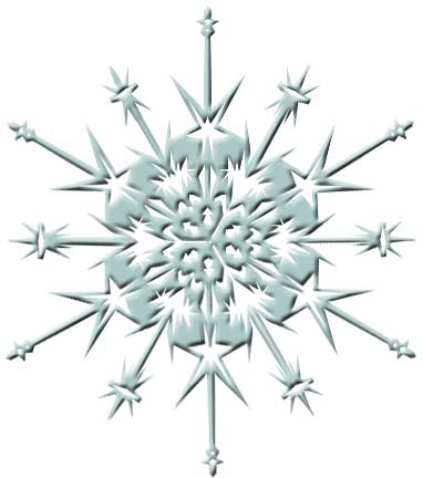 [snowflake.jpg]