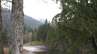 Upper Skagit river (B.C.)