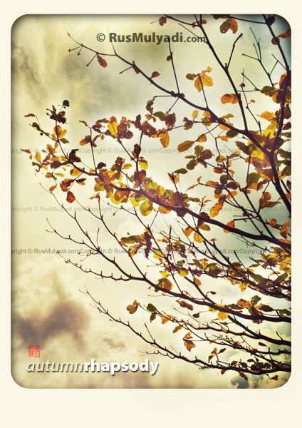 [autumn+rhapsody+rusmulyadi+dot+com+web.jpg]