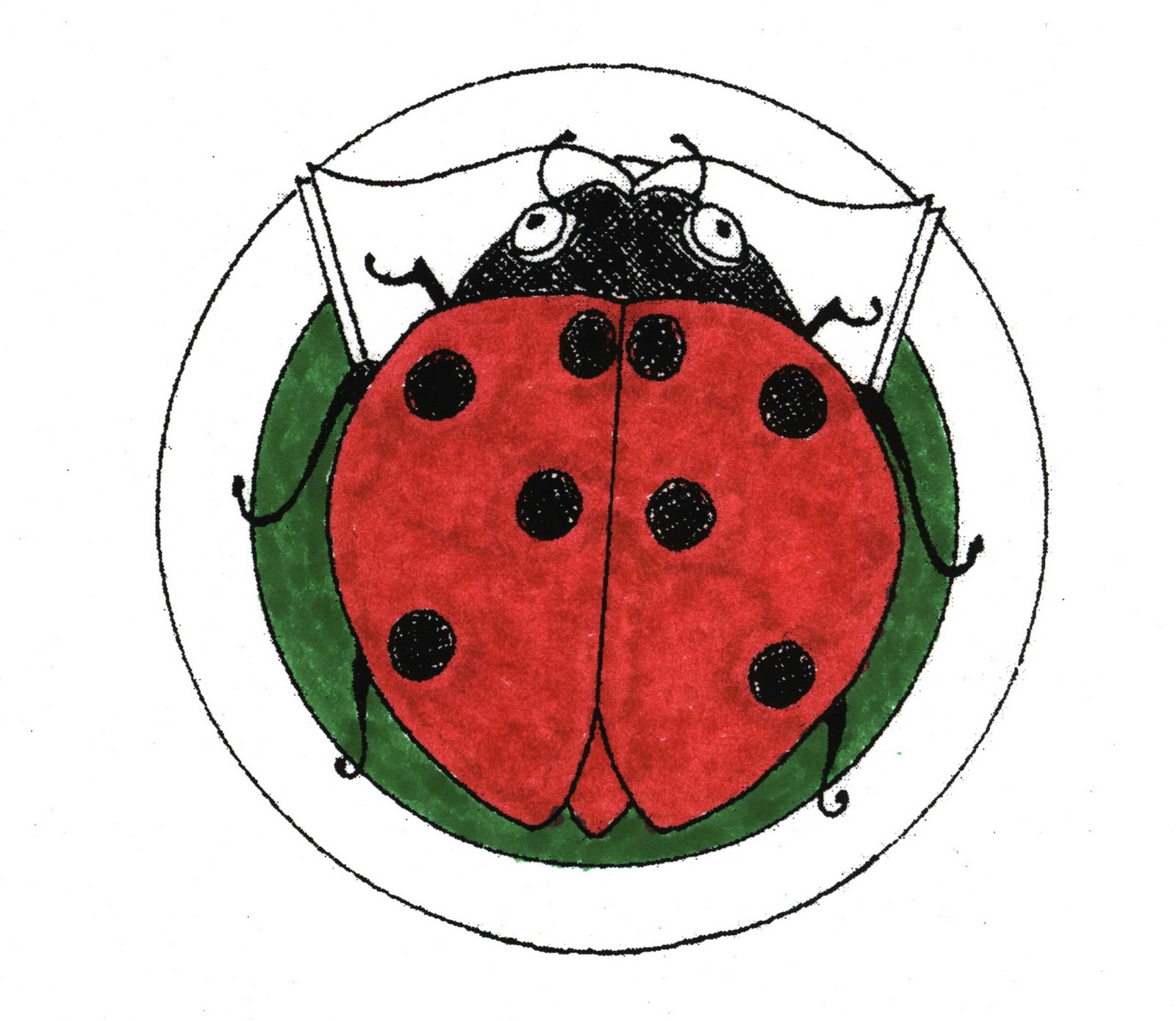 [ladybug+red+green.jpg]