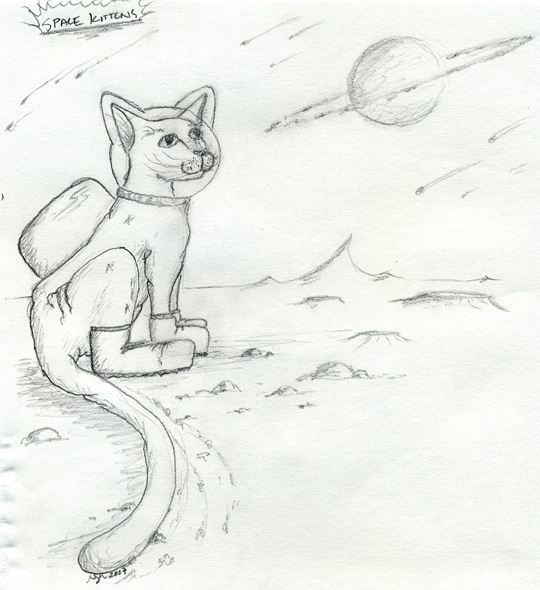 [space_kittens_sketch.jpg]