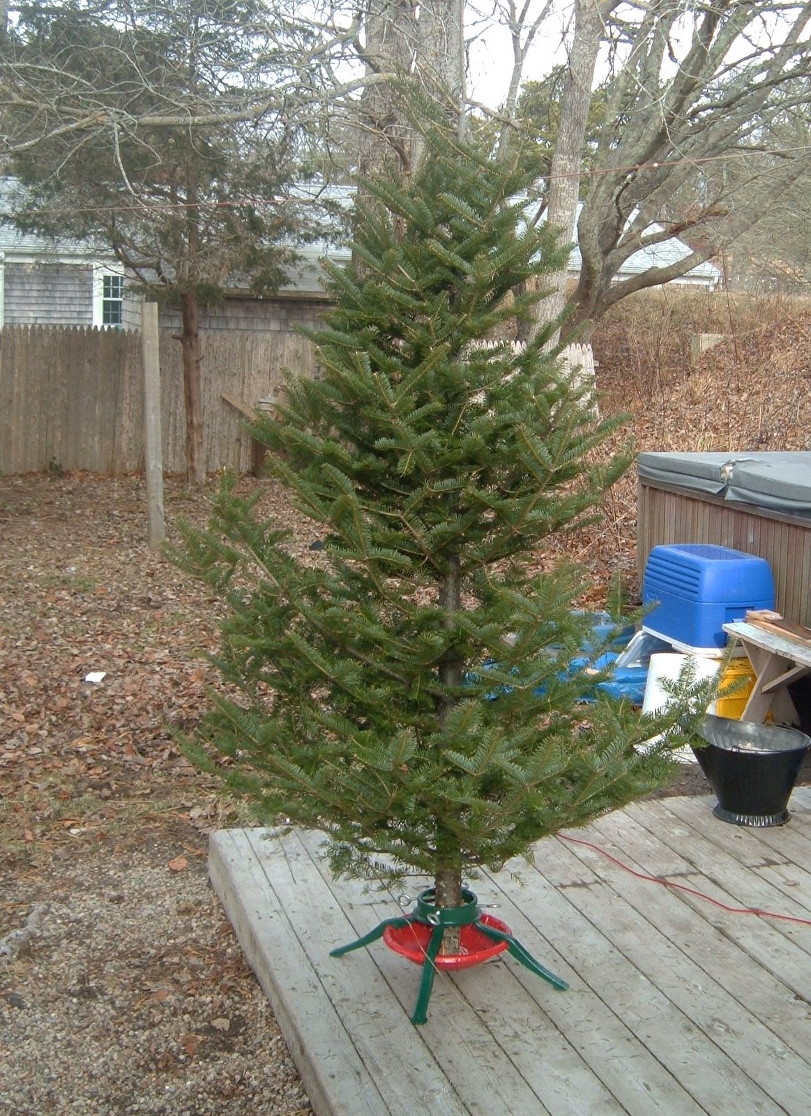 [Our+Tree+In+Stand.JPG]