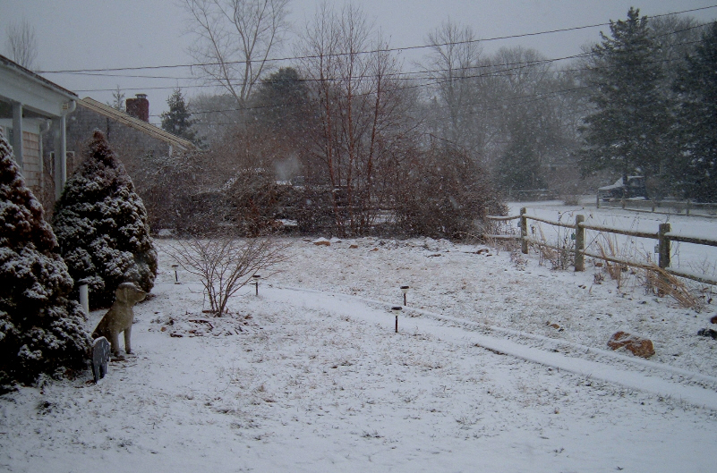 [Front+Yard+Snow.jpg]