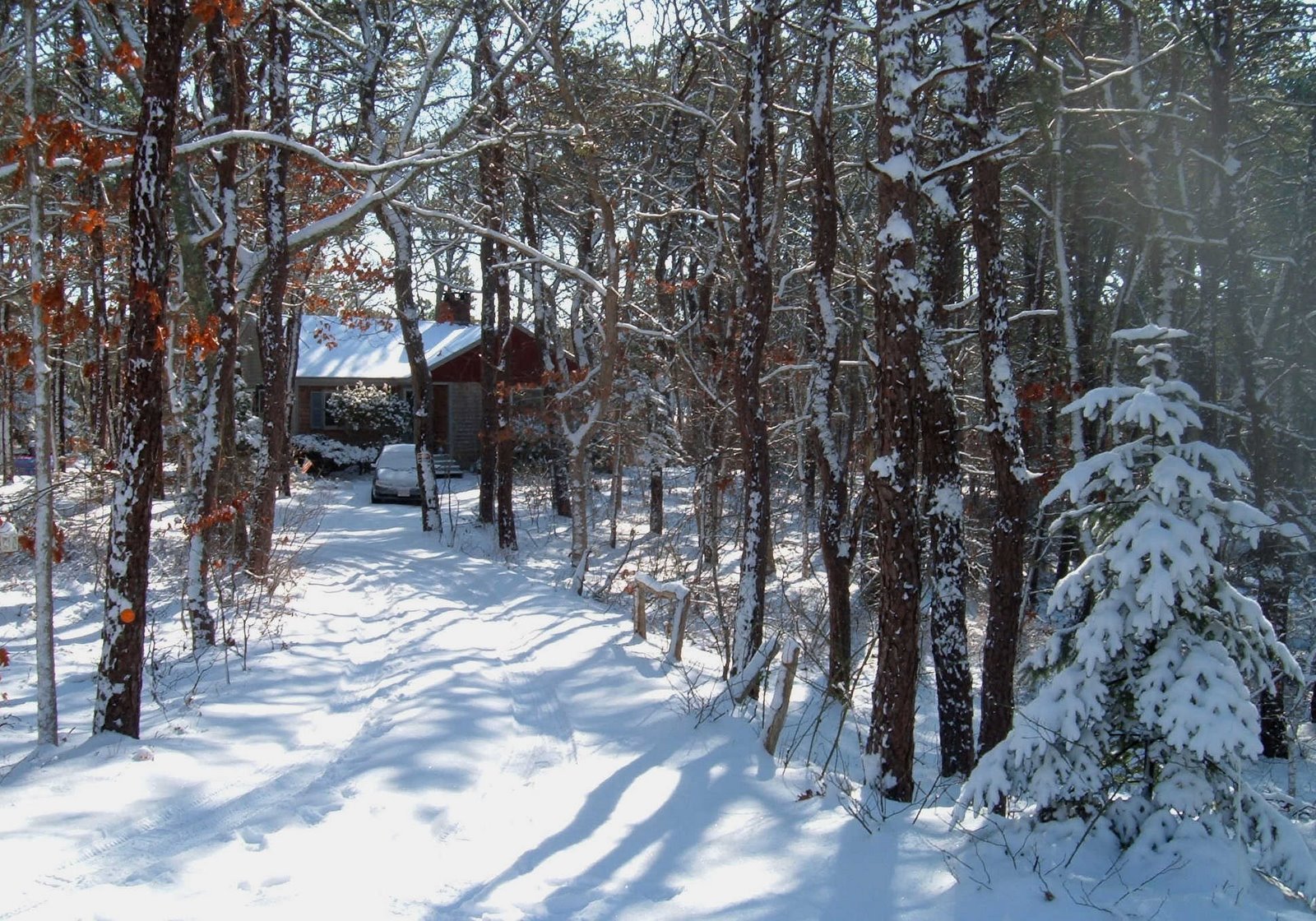 [House+in+the+Snowy+Woods.jpg]