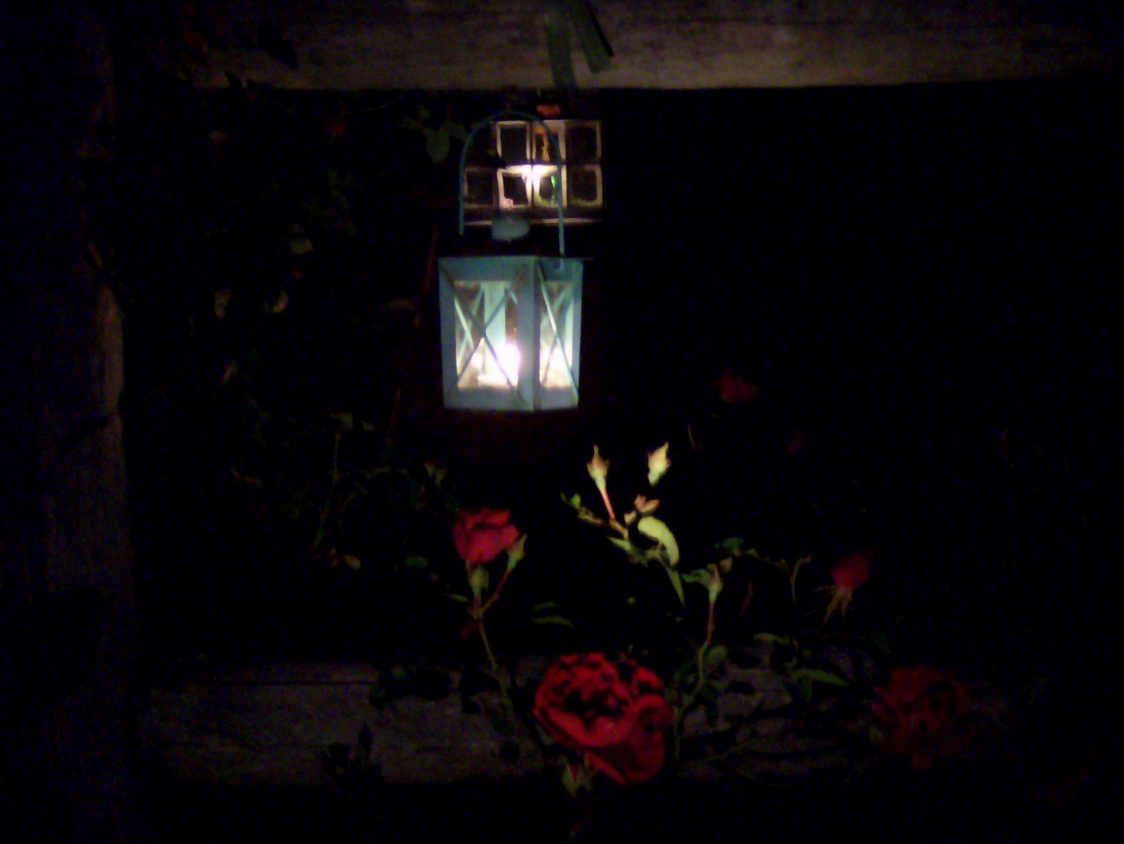 [Lantern+of+the+Midnight+Gardener.jpg]