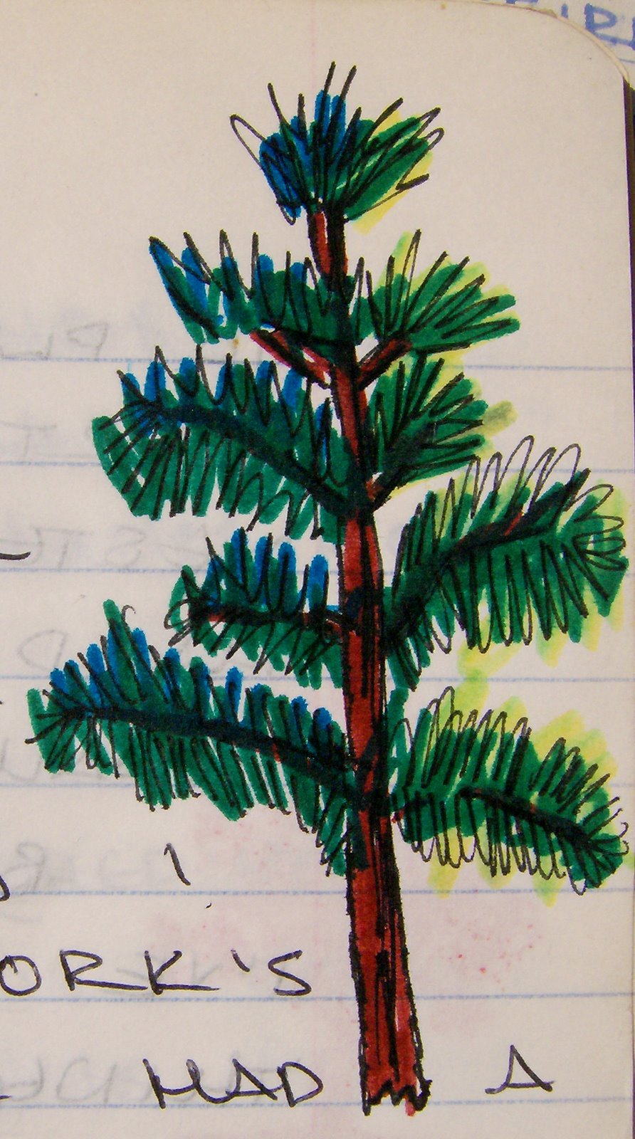 [Pine+Tree+92.jpg]