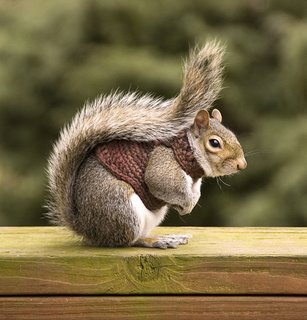 [squirrel_in_sweater_part_tr_1.jpg]