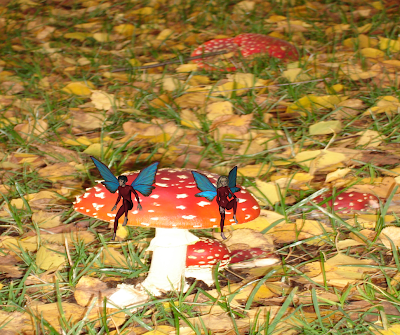 Hiro and Aiko fairies on mushroom