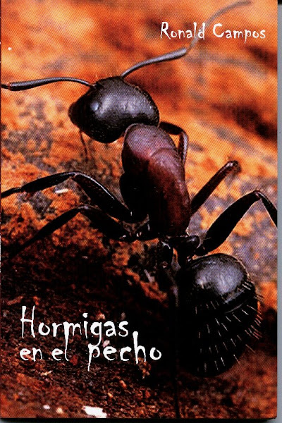 Hormigas en el pecho