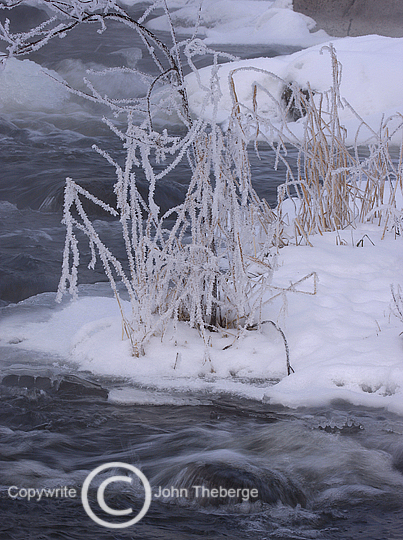 [River+Frost+12-07.jpg]