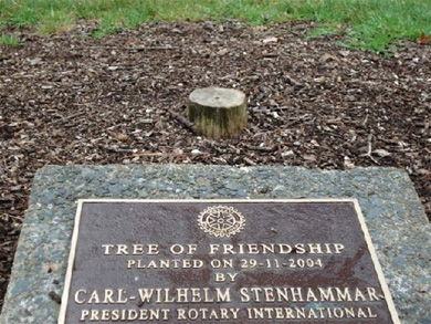 [Tree-of-friendship.jpg]