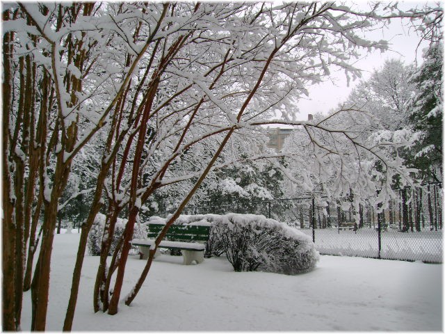 [Snow+February+25+2007+Ashlawn+III.jpg]