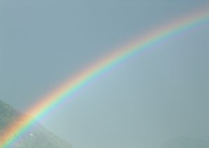 [40666_rainbow.jpg]