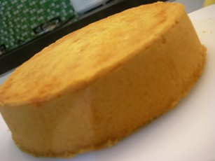 [sponge+cake1.JPG]