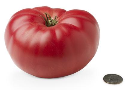 [19-heirloom-tomato.jpg]