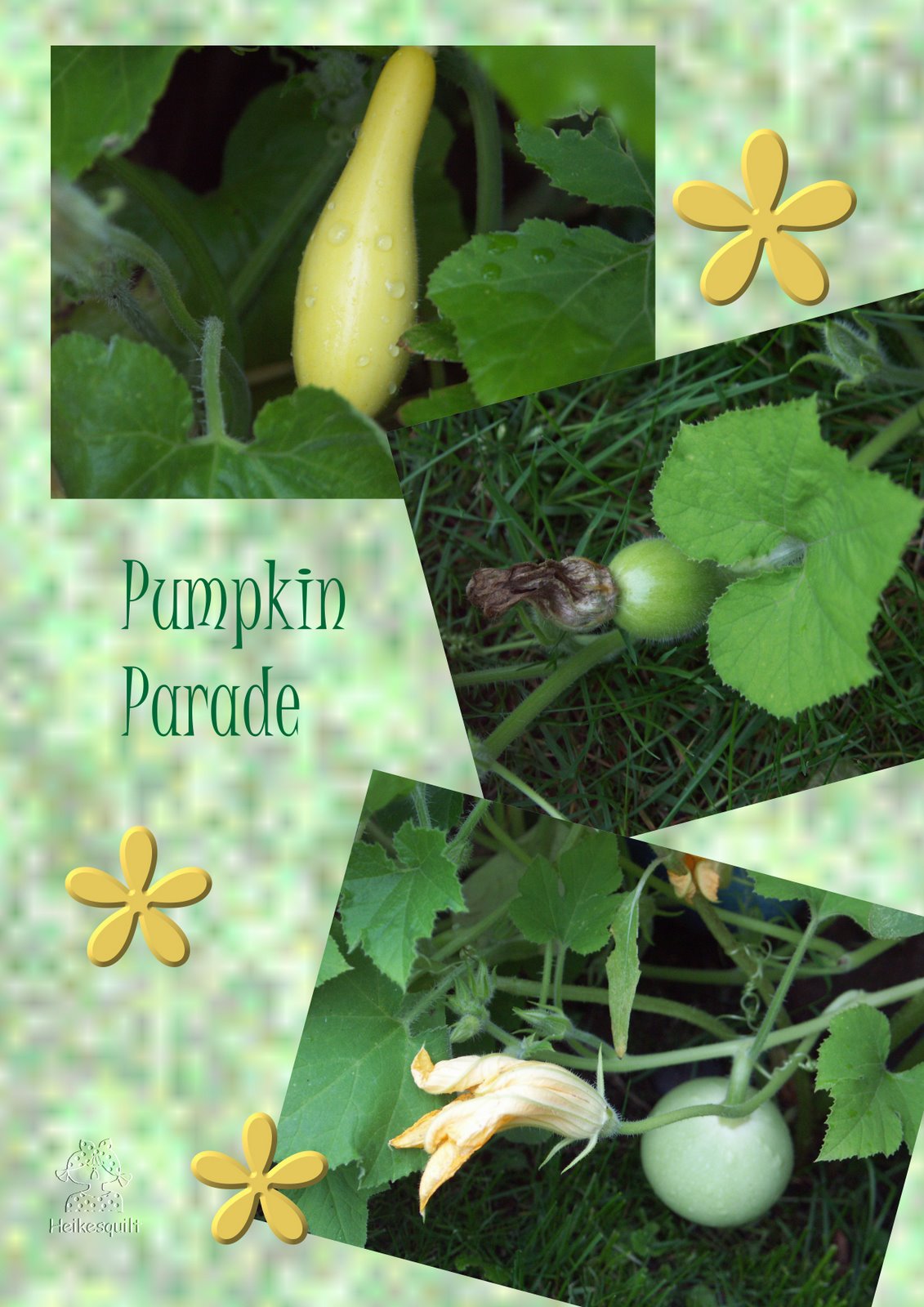 [Pumpkin+Parade.jpg]