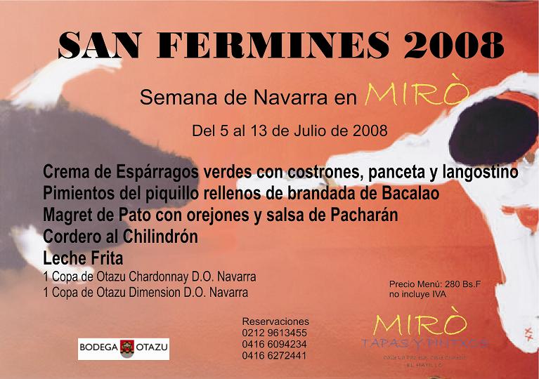 [San+fermines+2008pq.JPG]