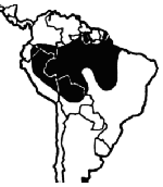 [mapa_caiman_negro.gif]