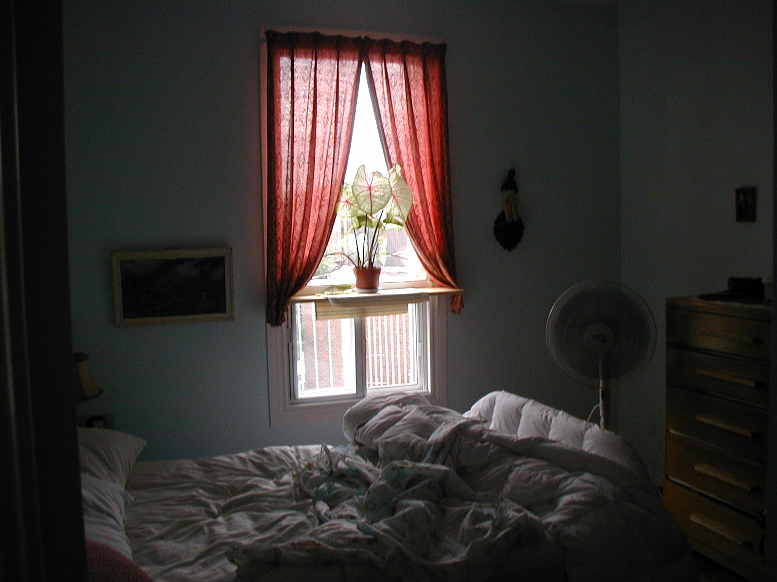 [Mtl+bedroom.JPG]