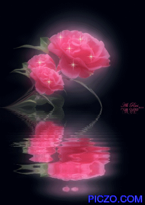 [roses[1].gif]