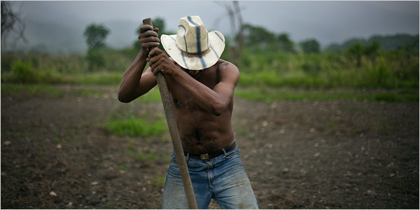 [Campesino+venezolano.+NYT.jpg]