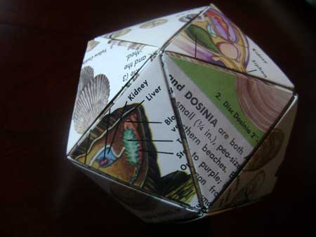 [seashores-icosahedron.jpg]