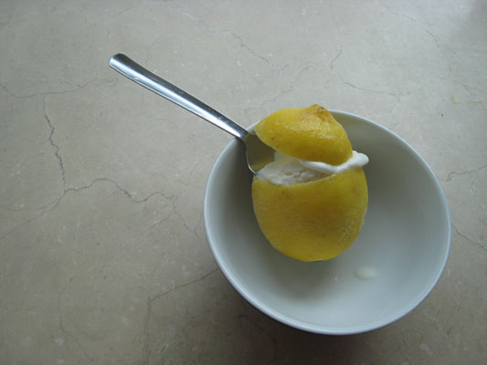 [lemon-ice.jpg]