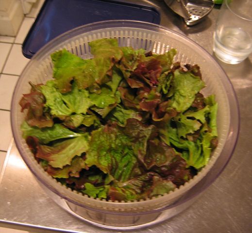 [sm_Big_redleaf_lettuce.jpg]