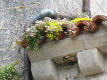 [CU_Vezelay_flower_roof2.jpg]