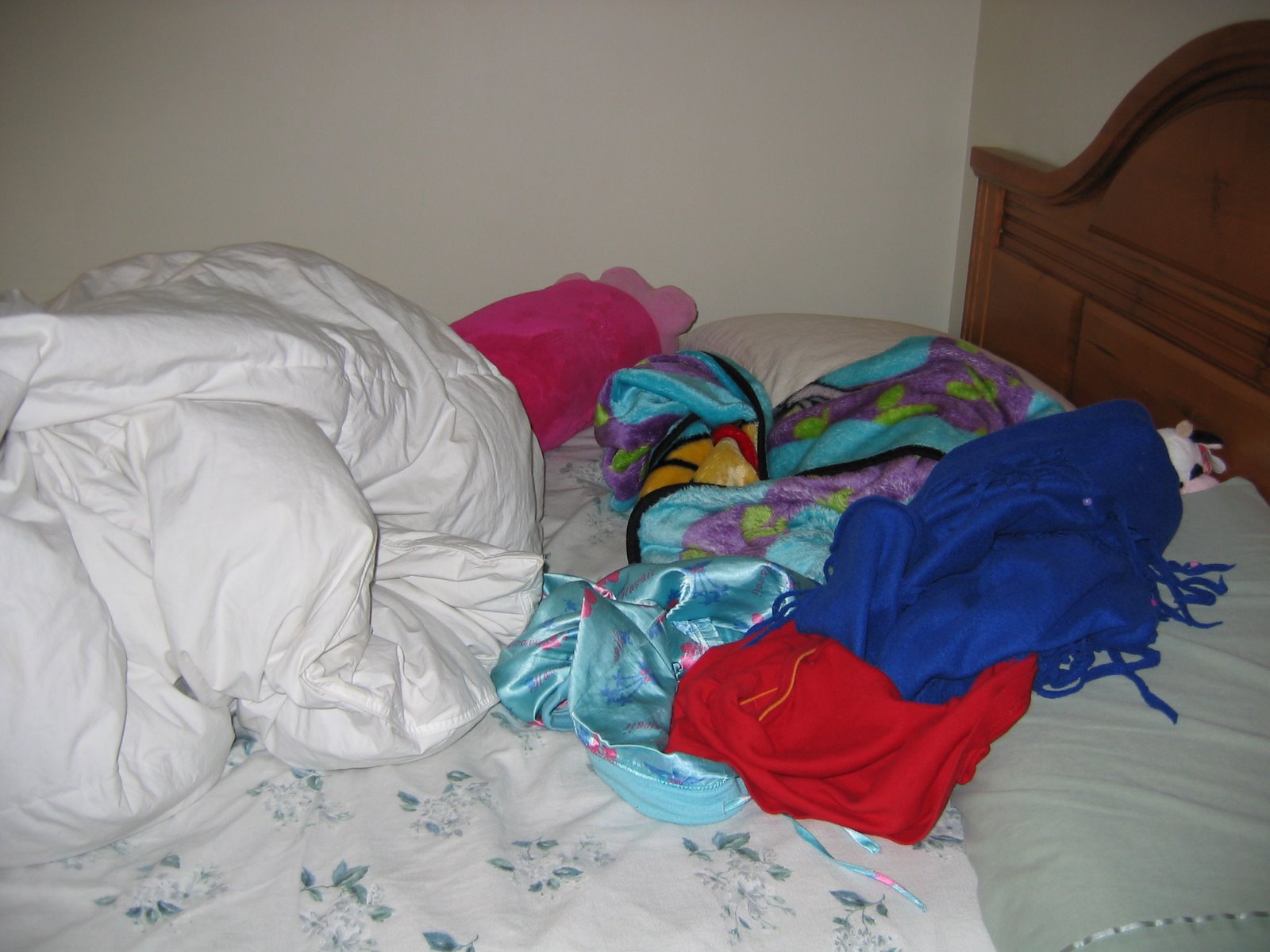 [Megan's+Bed.jpg]