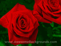[red-roses-flowers-01.gif]