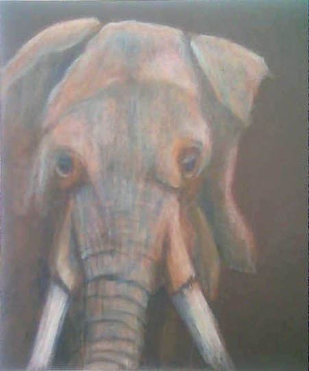 [elephant2.jpg]