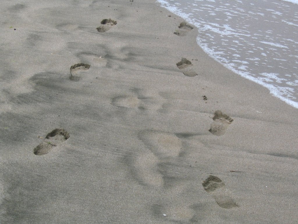 [steps_in_the_sand.jpg]