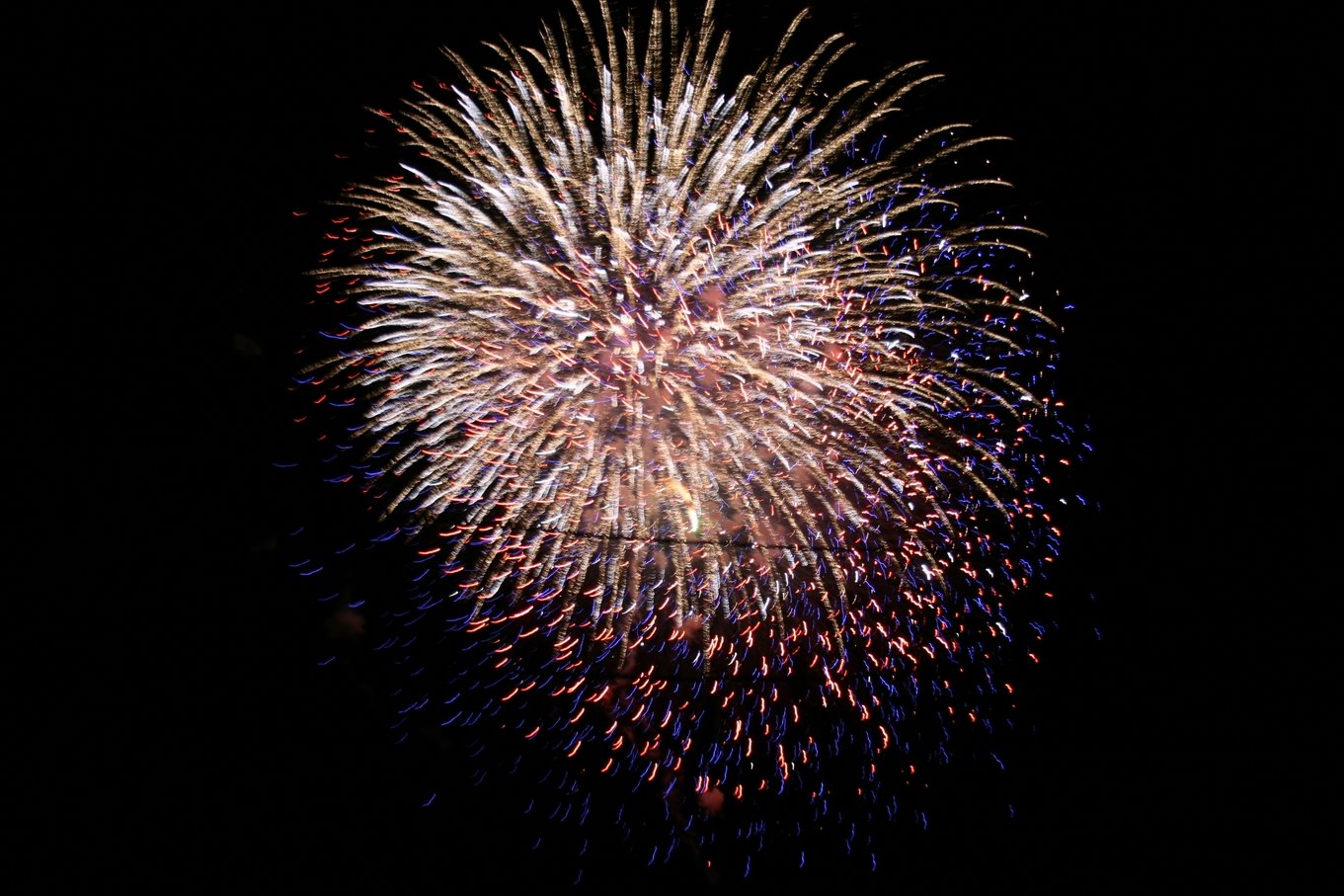 [fireworks+042.jpg]