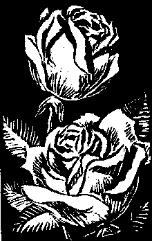 Reverse Roses