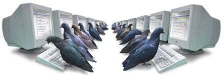 [google+pigeons.jpg]