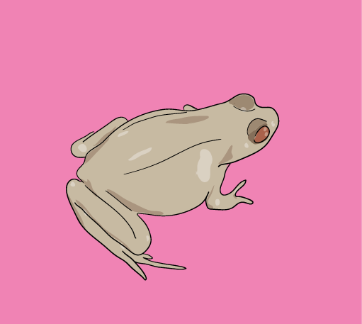 [frog09.png]