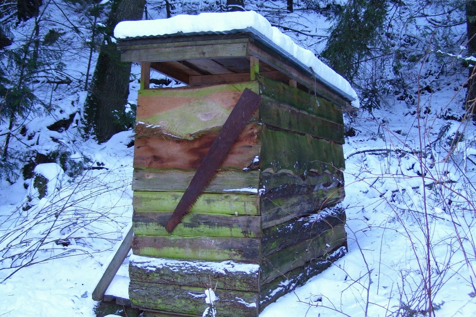 [cropped+outhouse.jpg]