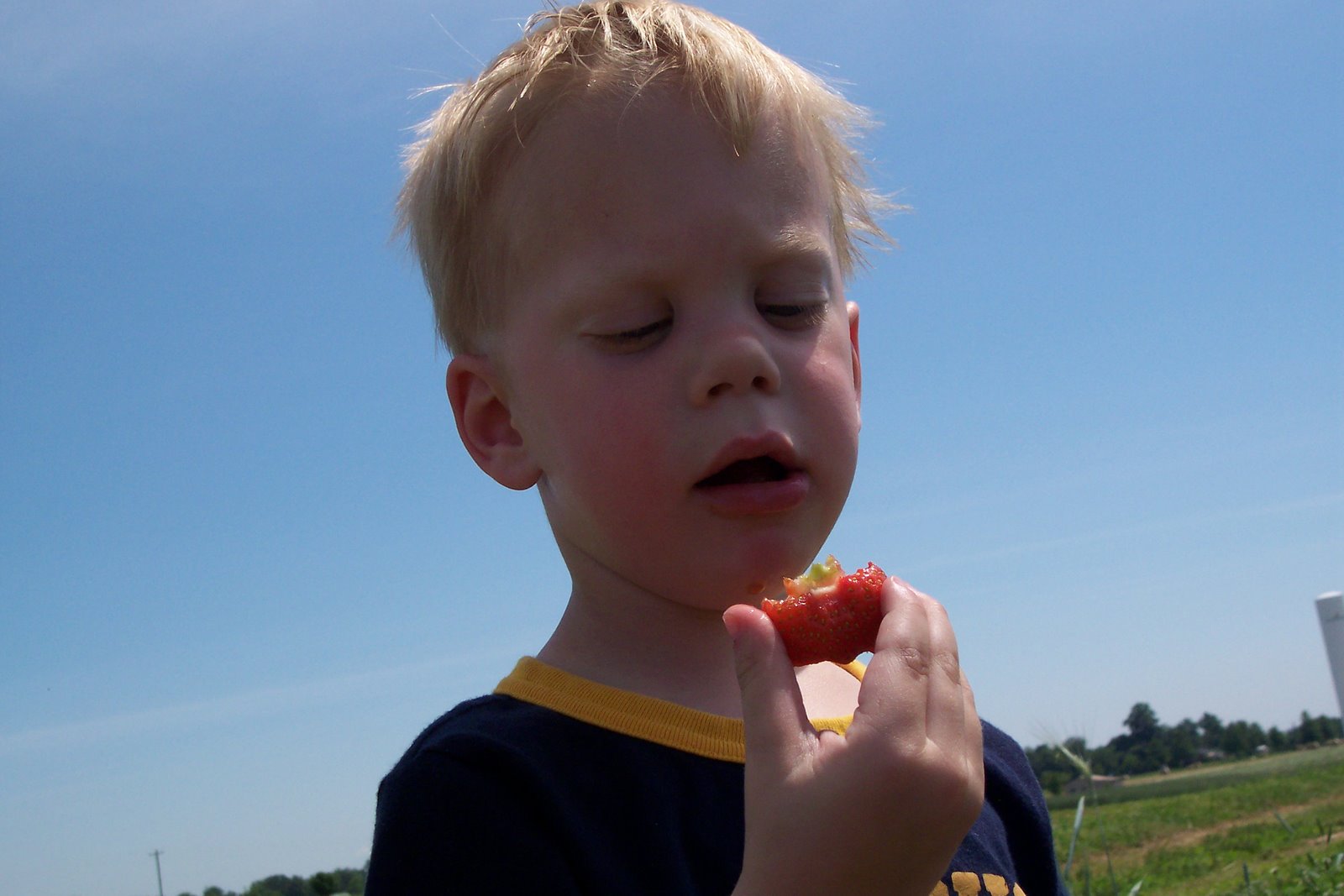 [Palmer+eating+strawberry.jpg]