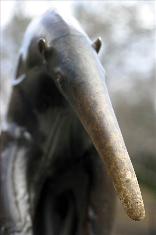 [anteater-statue.jpg]