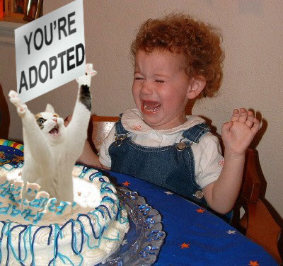 [YOU'RE+ADOPTED]