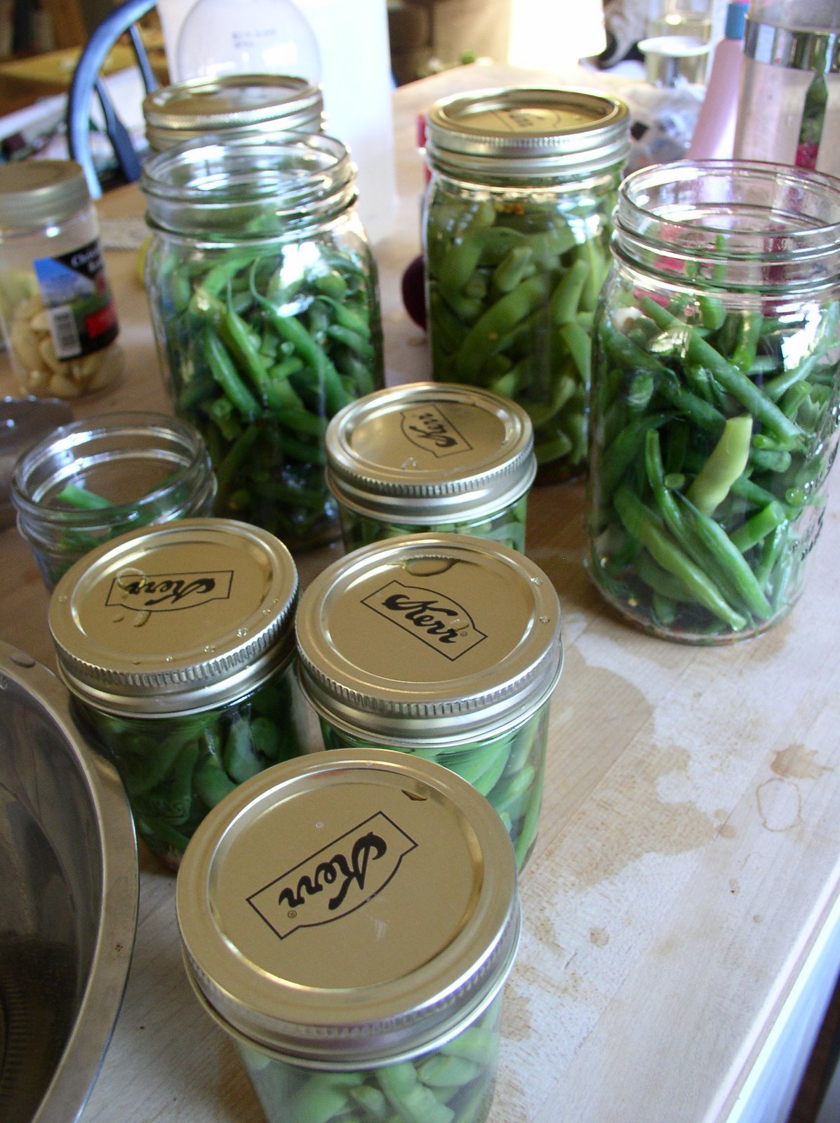 [canning+green+beans.jpg]