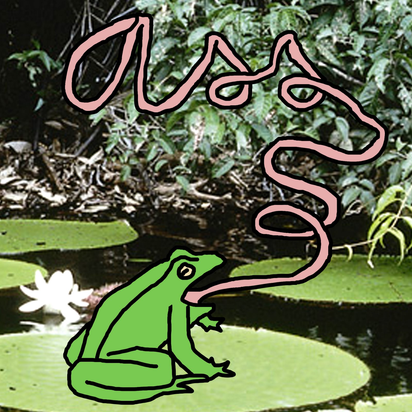 [frog+ass.jpg]
