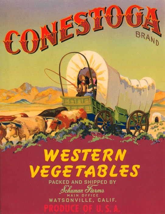 [Western+Vegetable+Wagon+Train.jpg]
