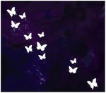 [Glittering_wax_butterflies_by_Loulah.jpg]