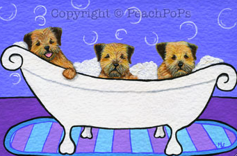 [Border+Terriers+in+a+bath.png]