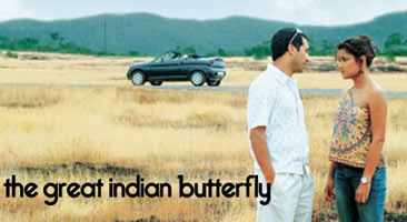 [indian-butterfly_m.jpg]