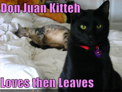 [funny-pictures-lover-cat.jpg]