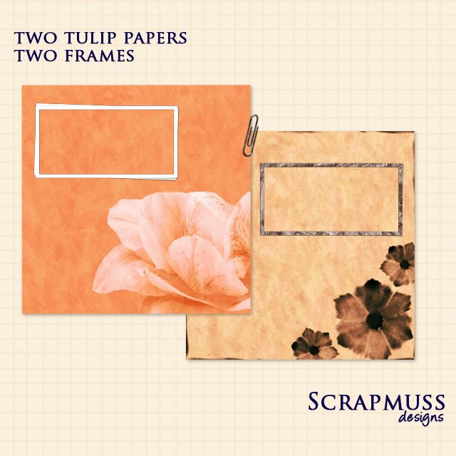 [scrapmuss-tulippapers-preview.jpg]